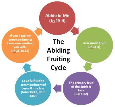 John 15 abiding fruiting cycle
