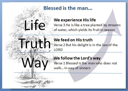 Way truth life for believer