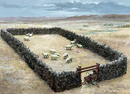 Door to the sheepfold - Bible study I AM the door